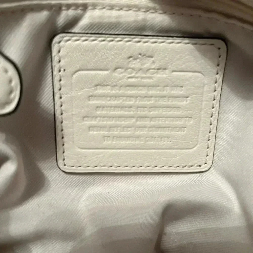 Coach bag(rare)